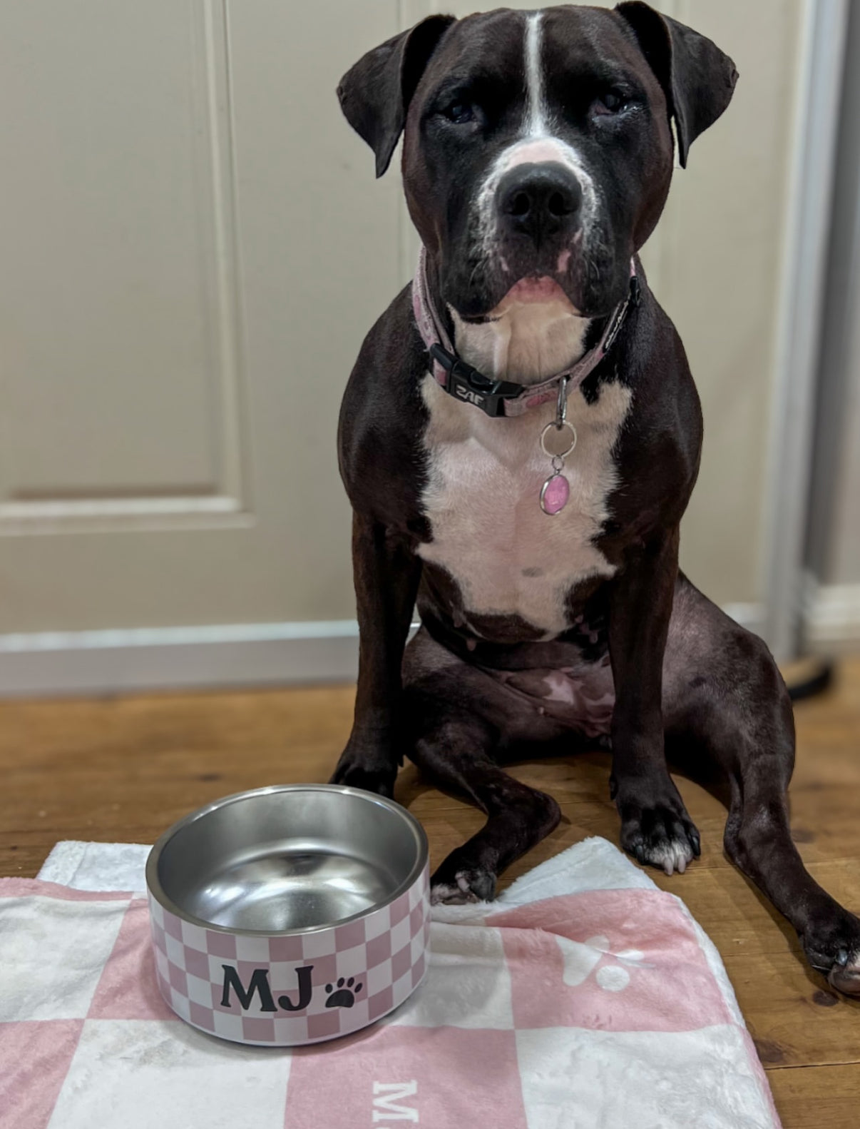 Personalised Dog Bowl - Checkered Stainless Steel Food and Water Bowl - TLC Paws