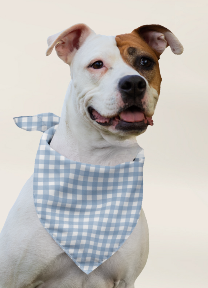 Dog Bandana - Checkered Blue - TLC Paws