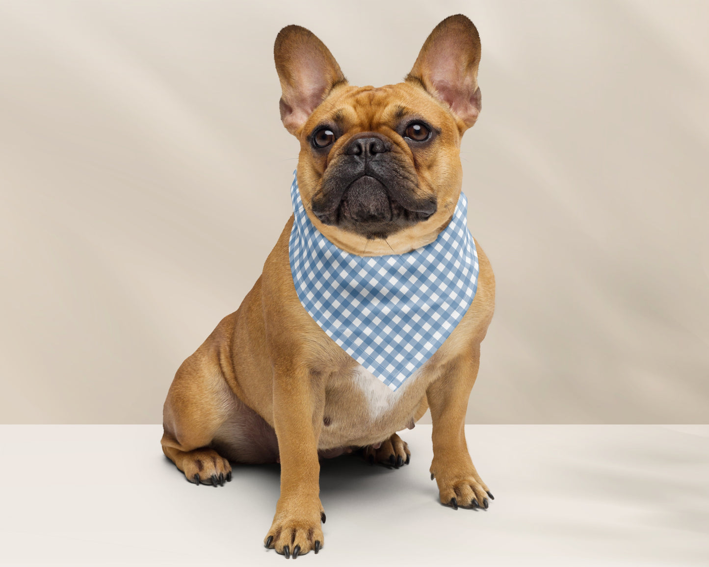Dog Bandana - Checkered Blue - TLC Paws