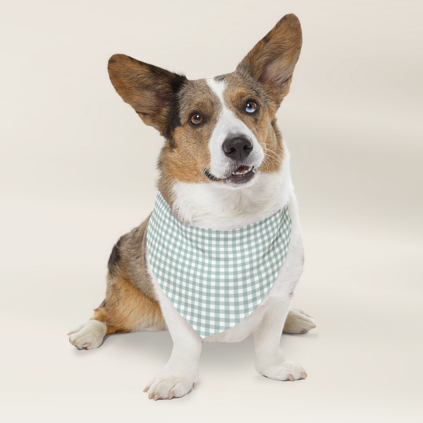 Dog Bandana - Checkered Sage - TLC Paws