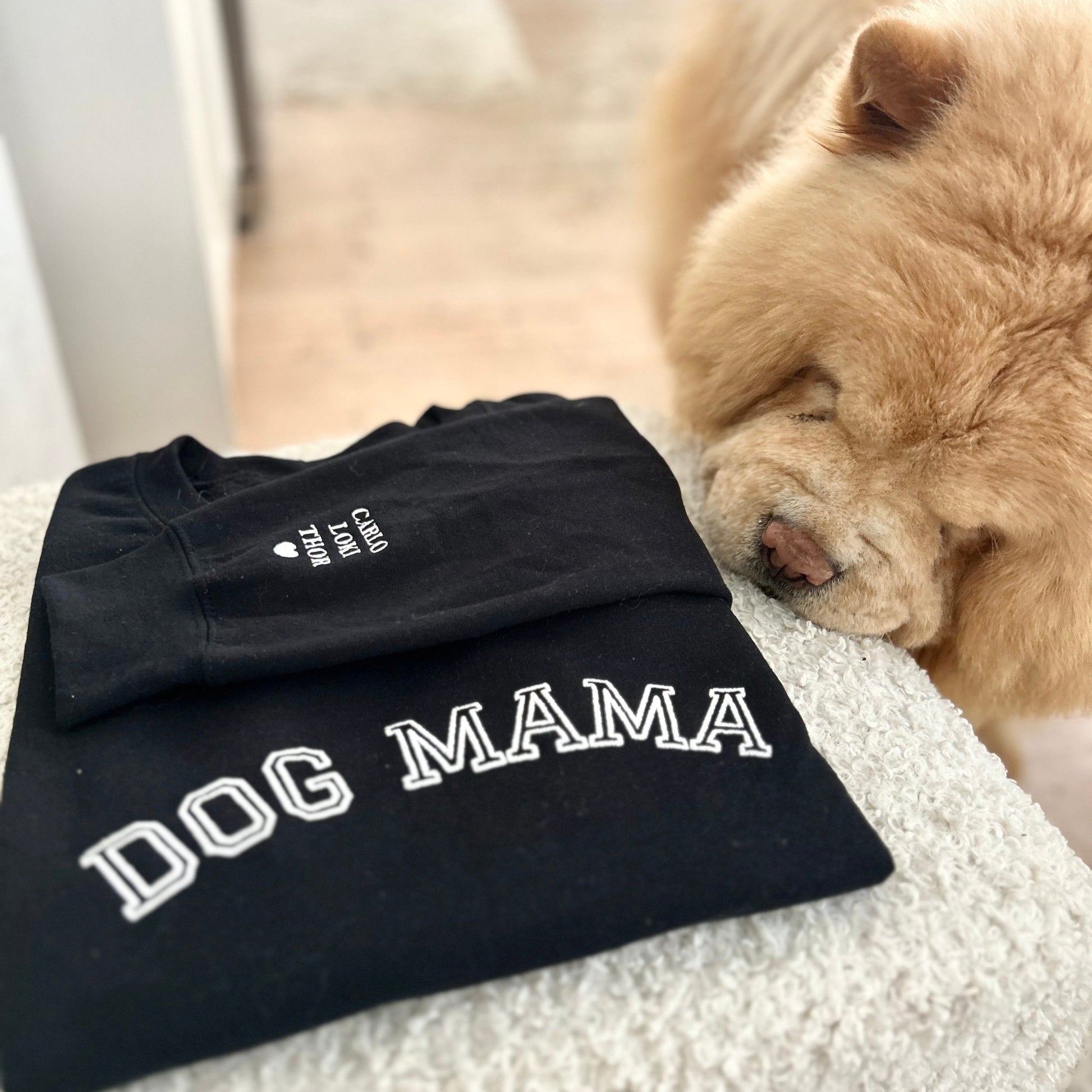 Dog Mama Embroidered Sweatshirt with Names on Sleeve