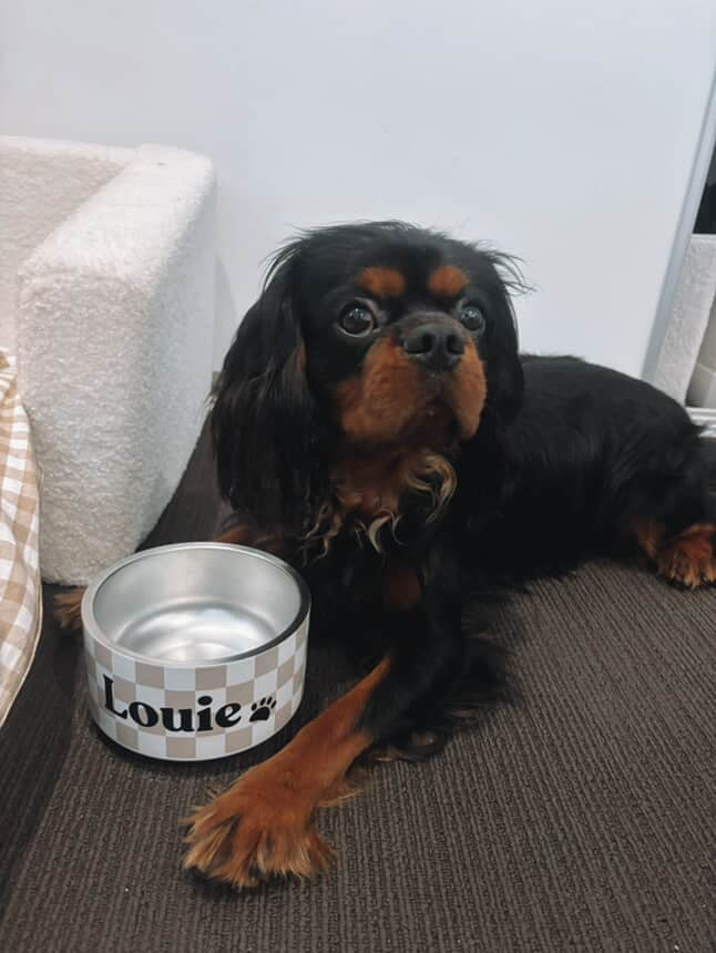 Personalised Dog Bowl - Checkered Stainless Steel Food and Water Bowl - TLC Paws