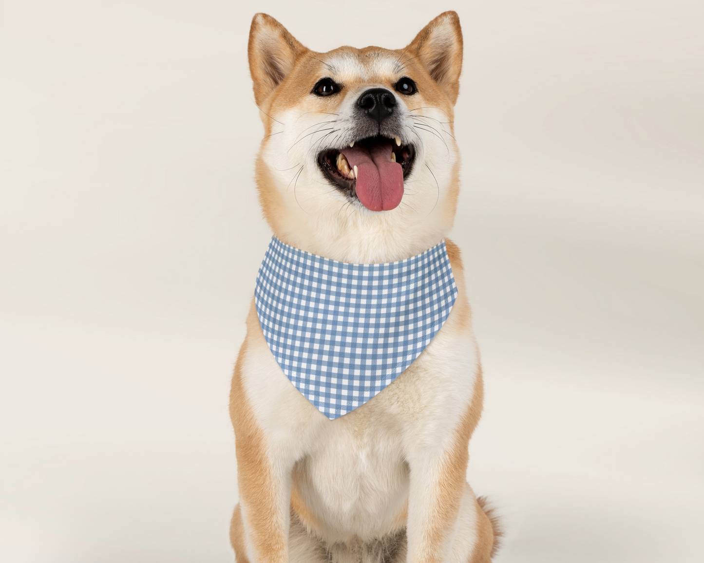 Dog Bandana - Checkered Blue - TLC Paws