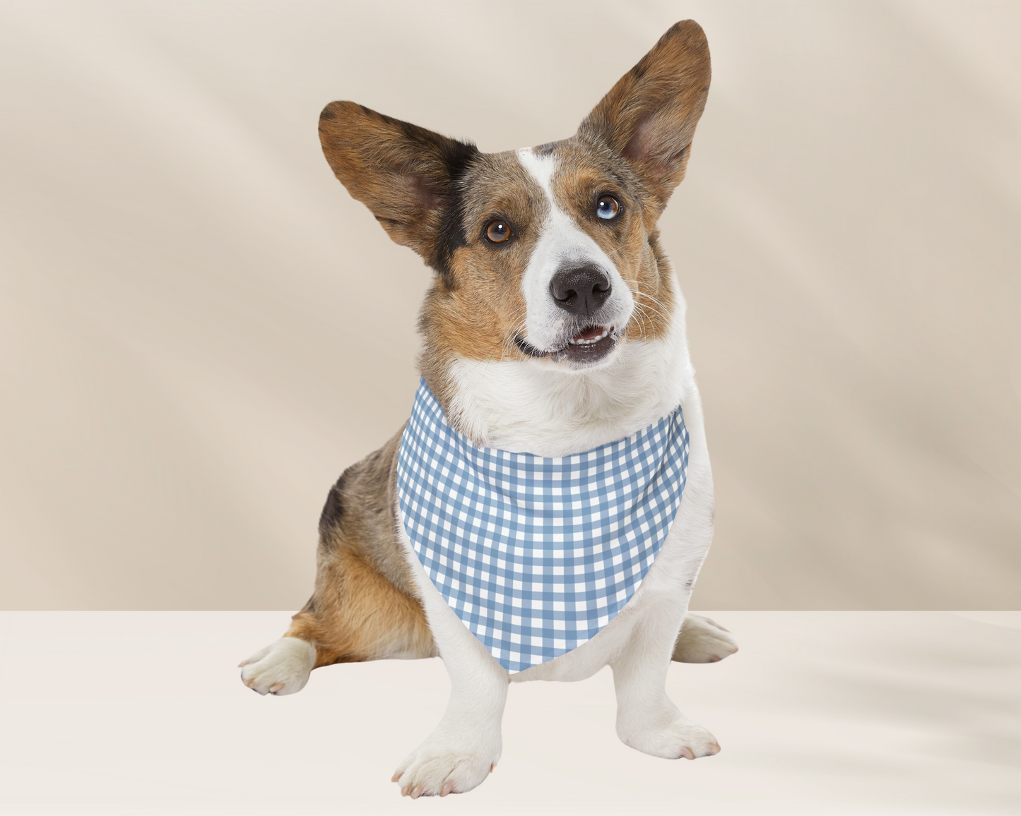 Dog Bandana - Checkered Sage - TLC Paws