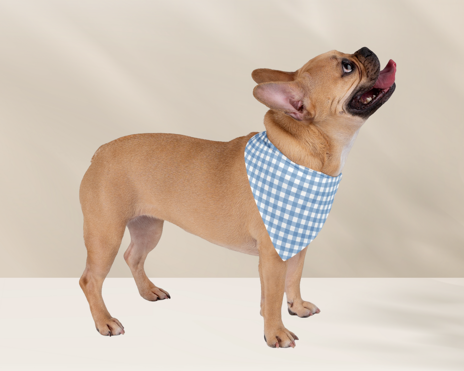 Dog Bandana - Checkered Blue - TLC Paws