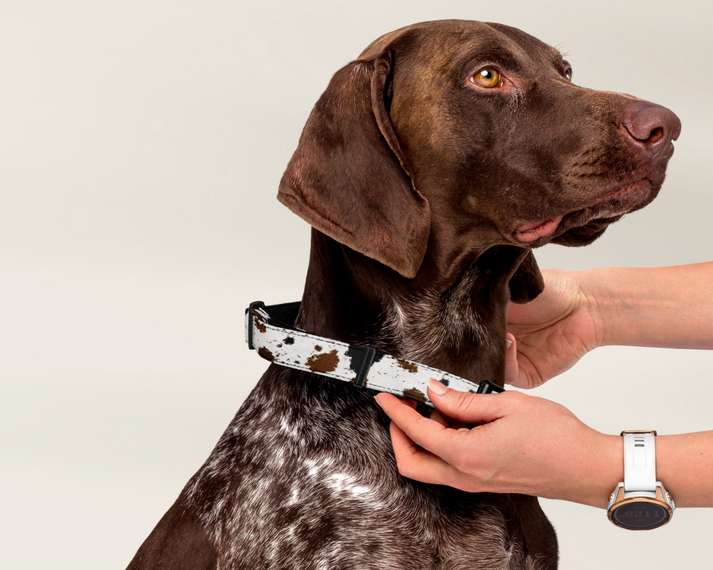 Dog Leash - Cowhide Animal Print - TLC Paws