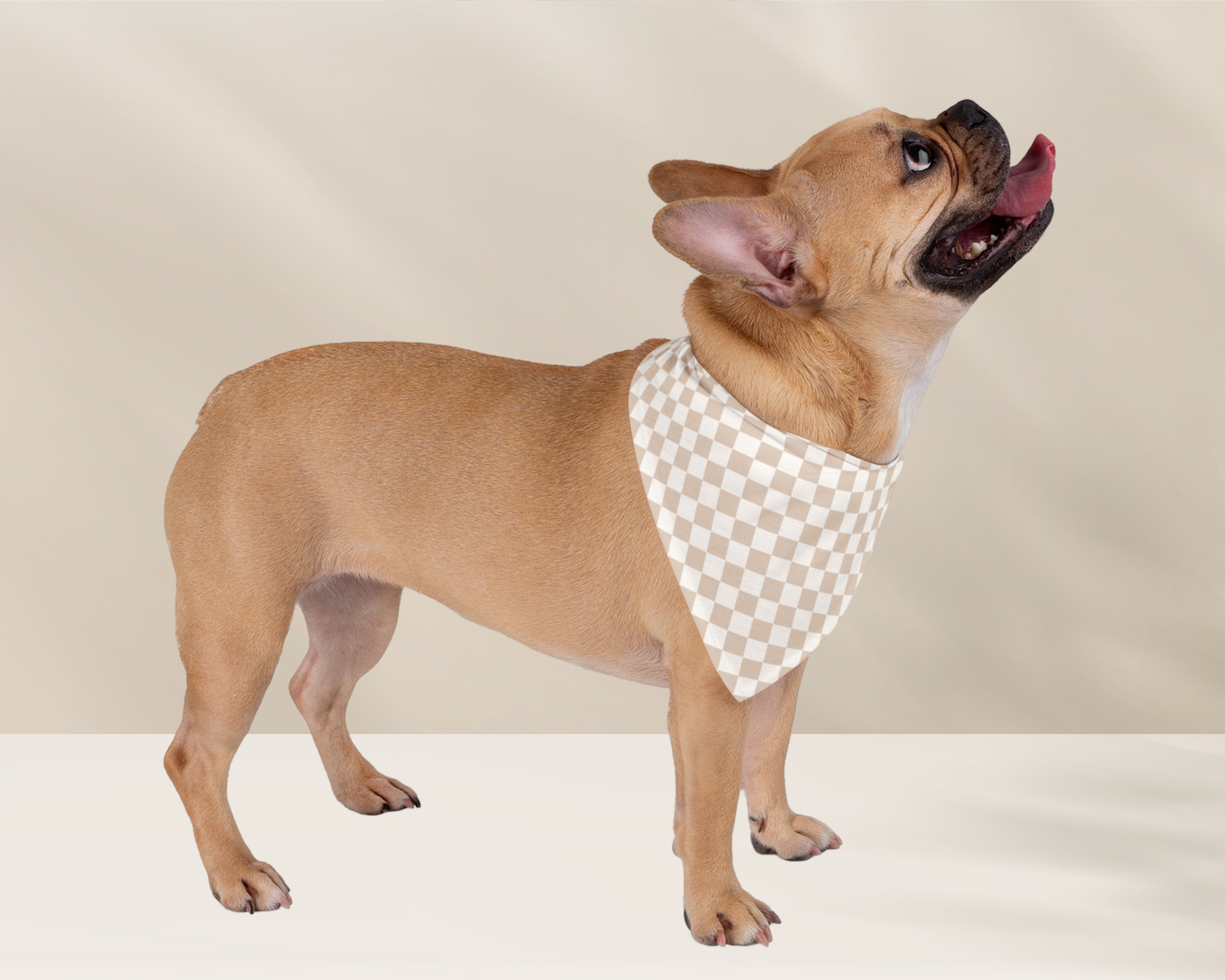 Dog Bandana - Checkered Sand - TLC Paws
