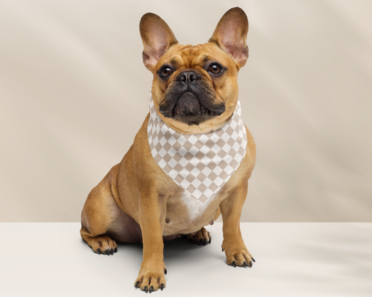 Dog Bandana - Checkered Sage - TLC Paws