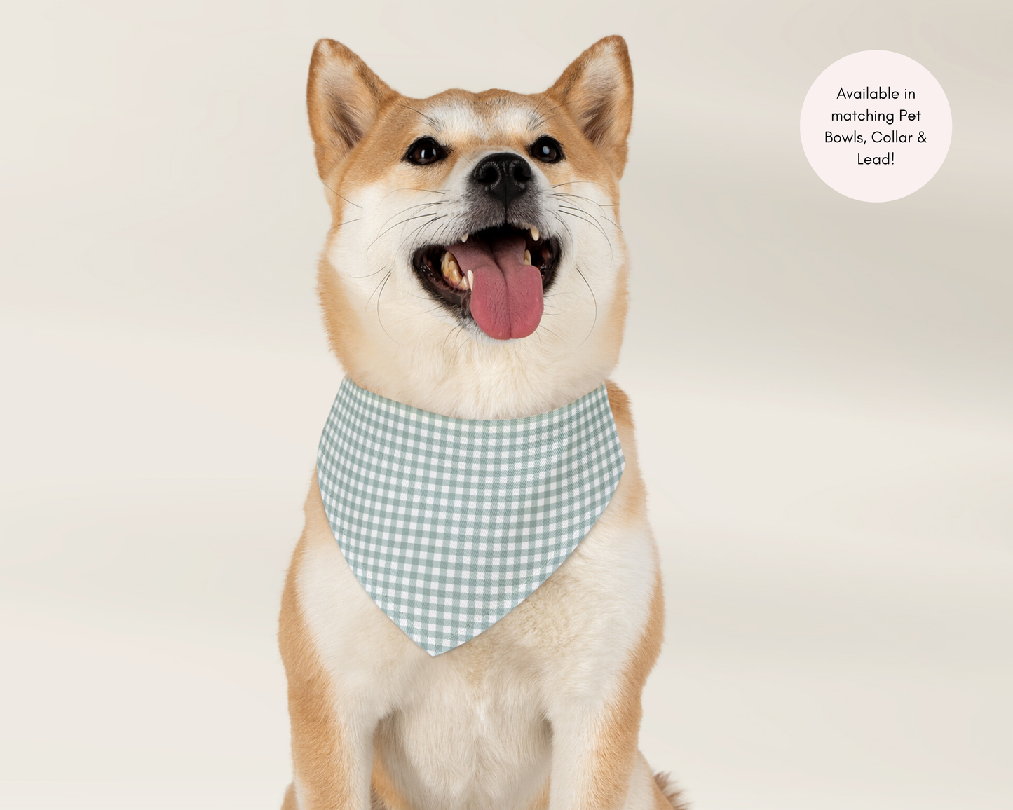Dog Bandana - Checkered Sage - TLC Paws