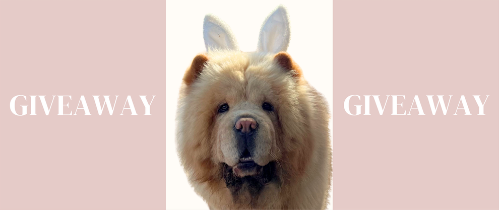 Easter Egg Hunt Now On! Win a $50 Gift Voucher
