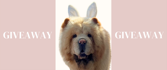 Easter Egg Hunt Now On! Win a $50 Gift Voucher