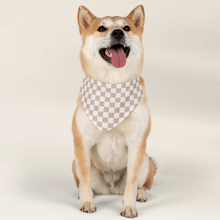 PET BANDANAS