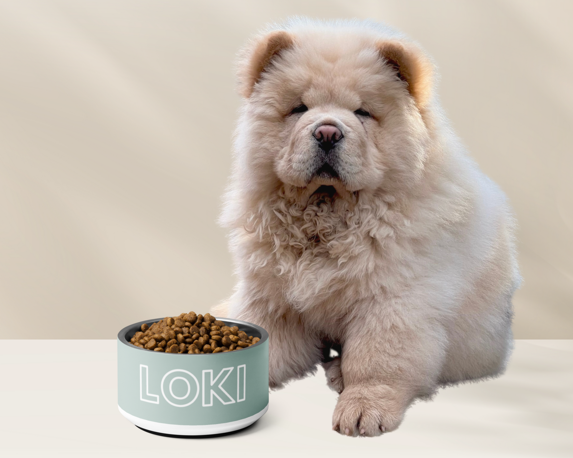 Personalised Dog Bowl and Cat Feeder - Sage - TLC Paws