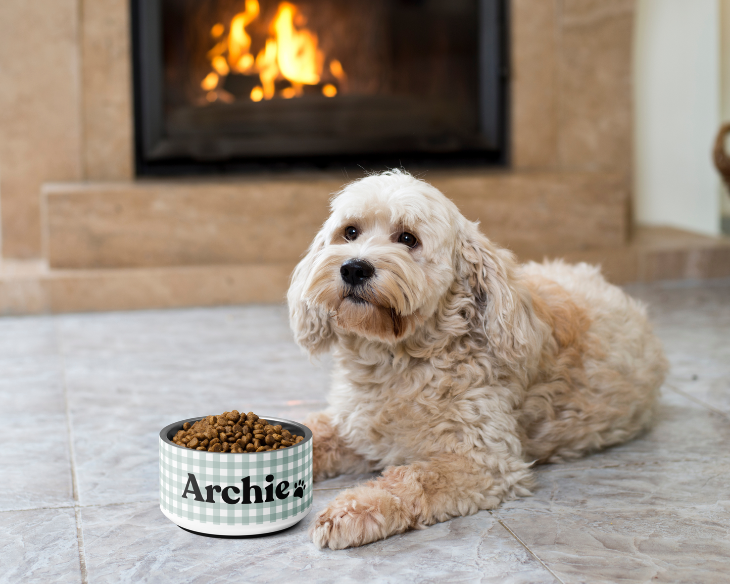 Personalized Dog Bowl and Cat Feeder - Gingham Sage - TLC Paws