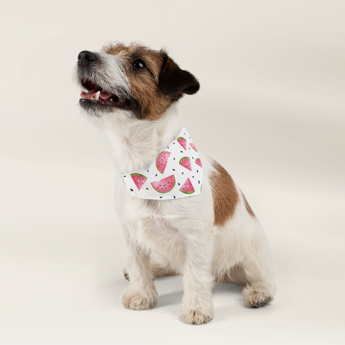 Pet Bandana Over The Collar - Watermelon - TLC Paws