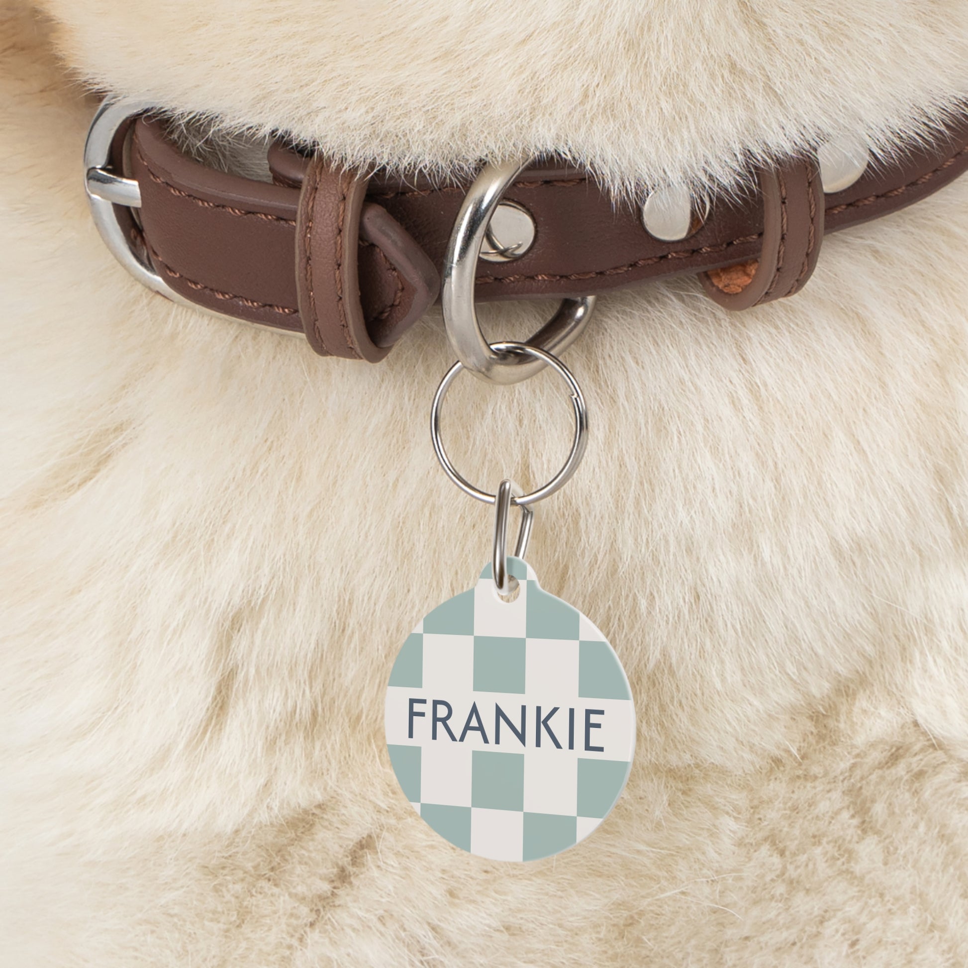 Personalised Pet Dog or Cat ID Tag - Checkered Sage - TLC Paws