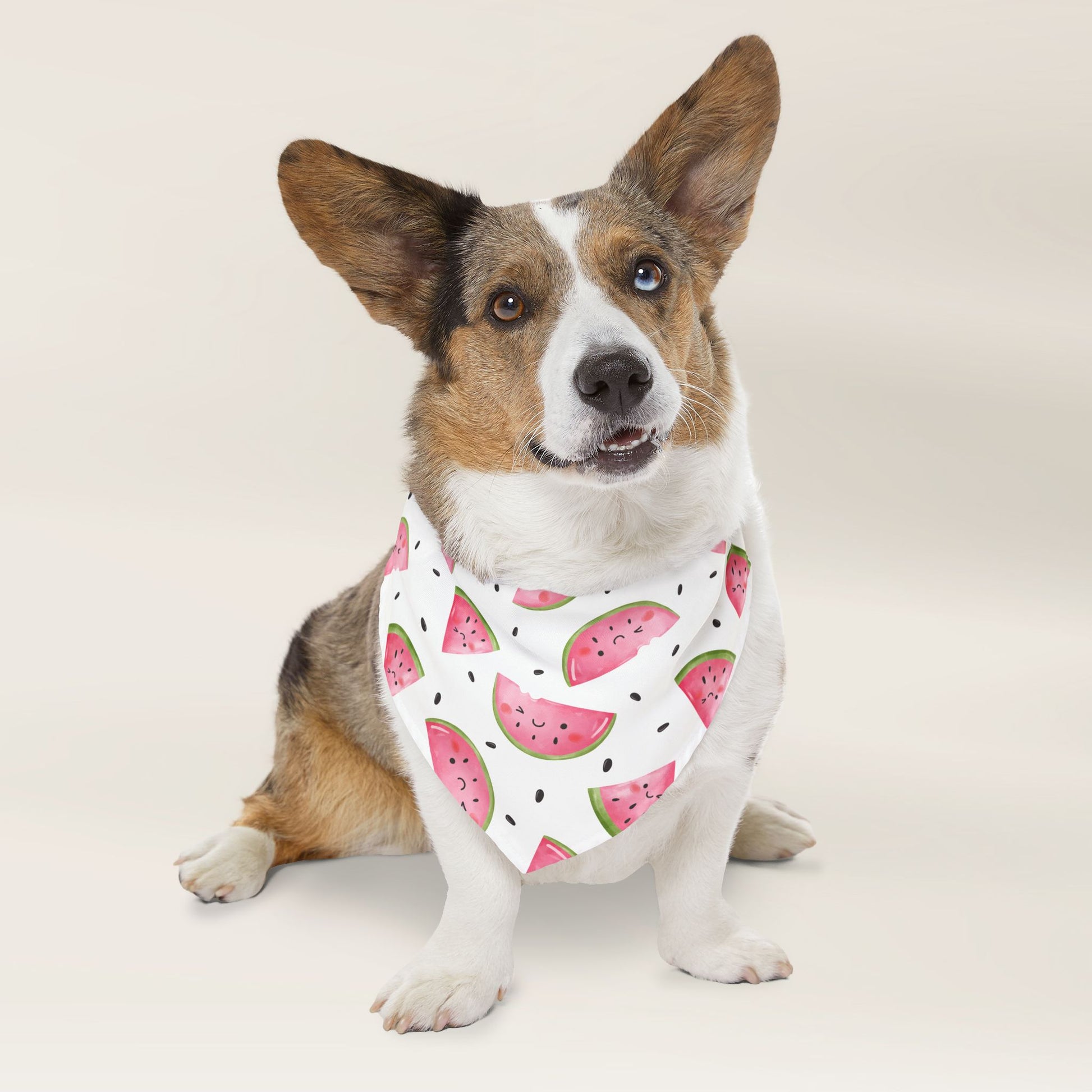 Pet Bandana Over The Collar - Watermelon - TLC Paws