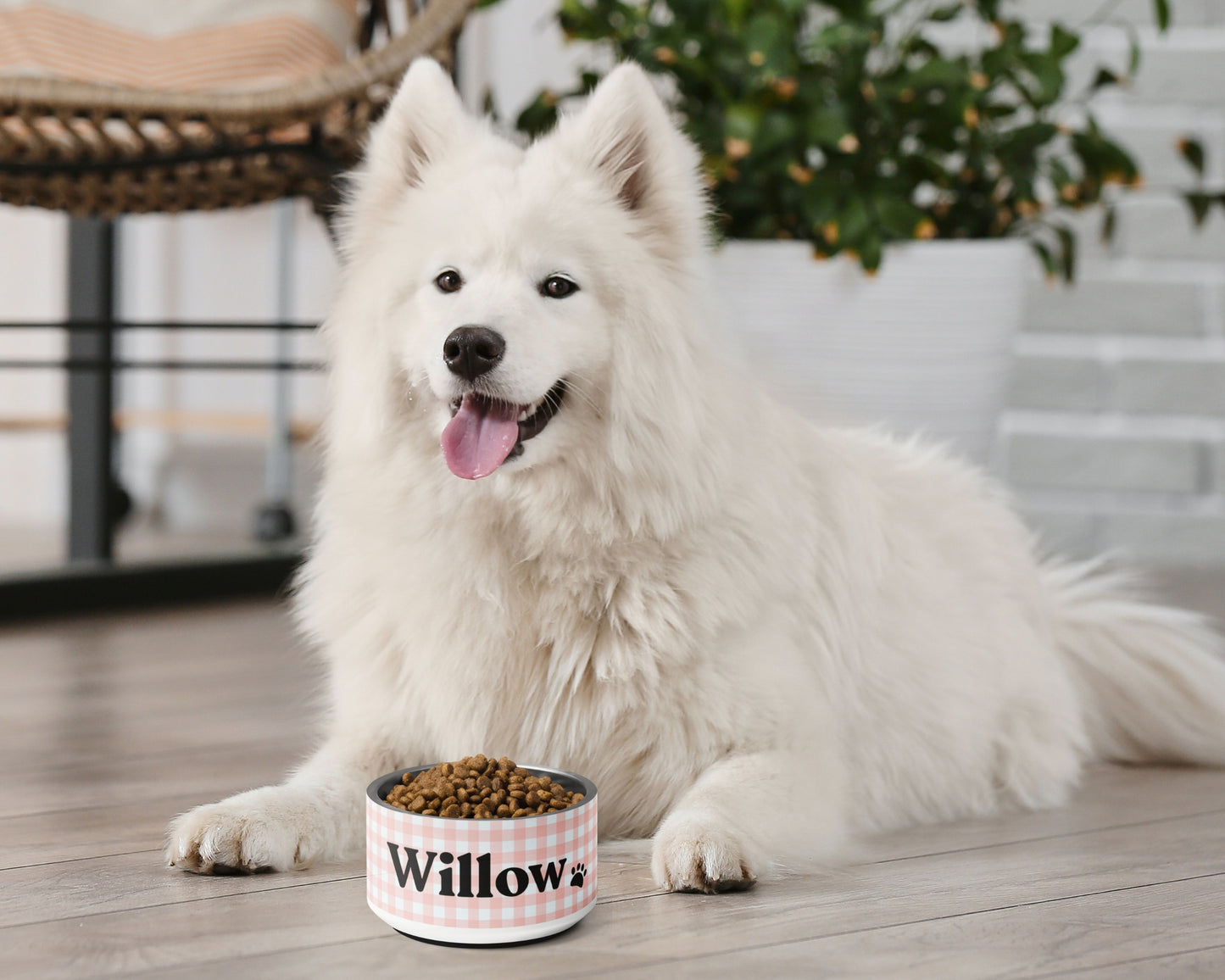 Personalized Dog Bowl and Cat Feeder - Gingham Pink - TLC Paws