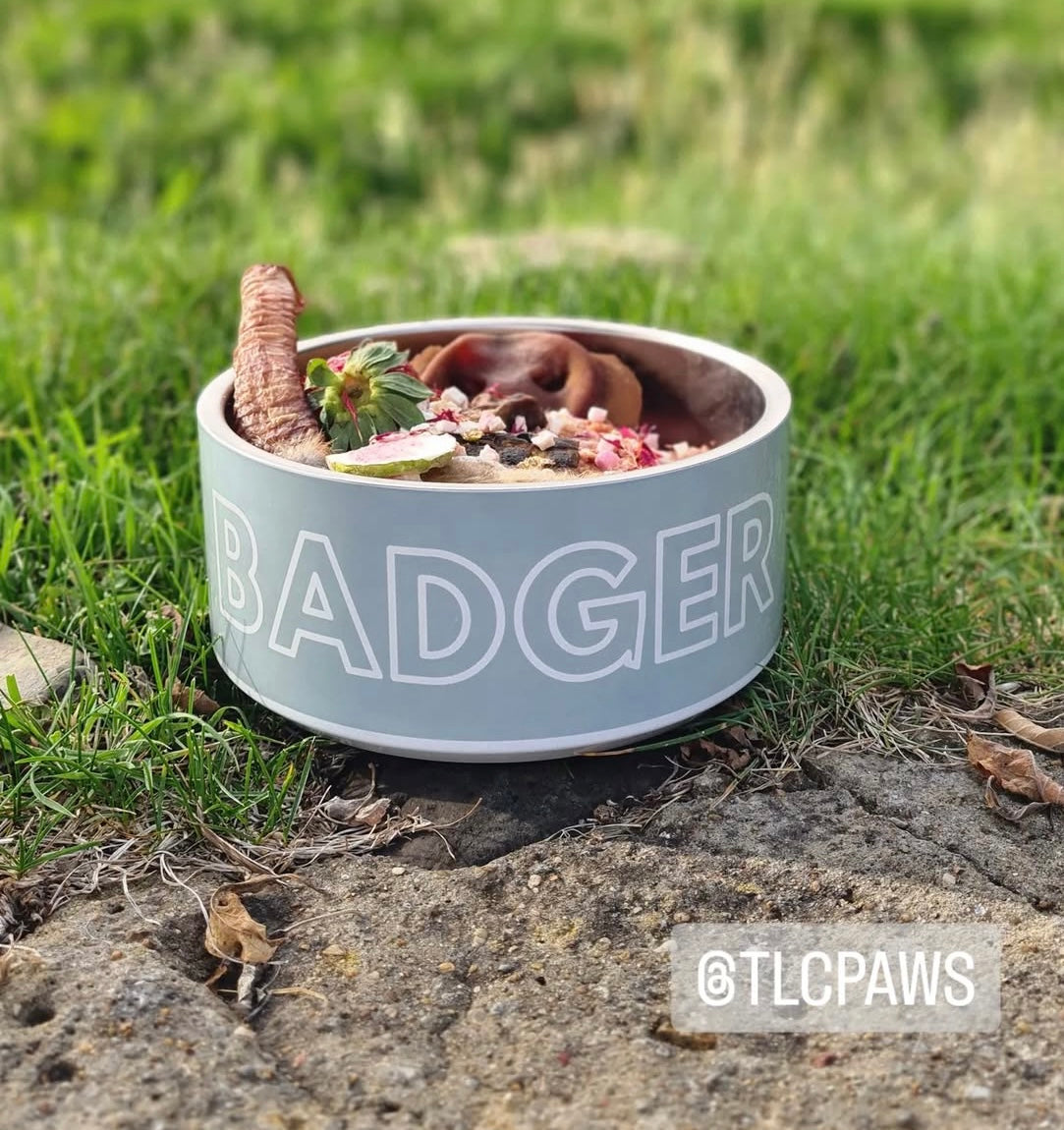 Personalised Dog Bowl and Cat Feeder - Sage - TLC Paws