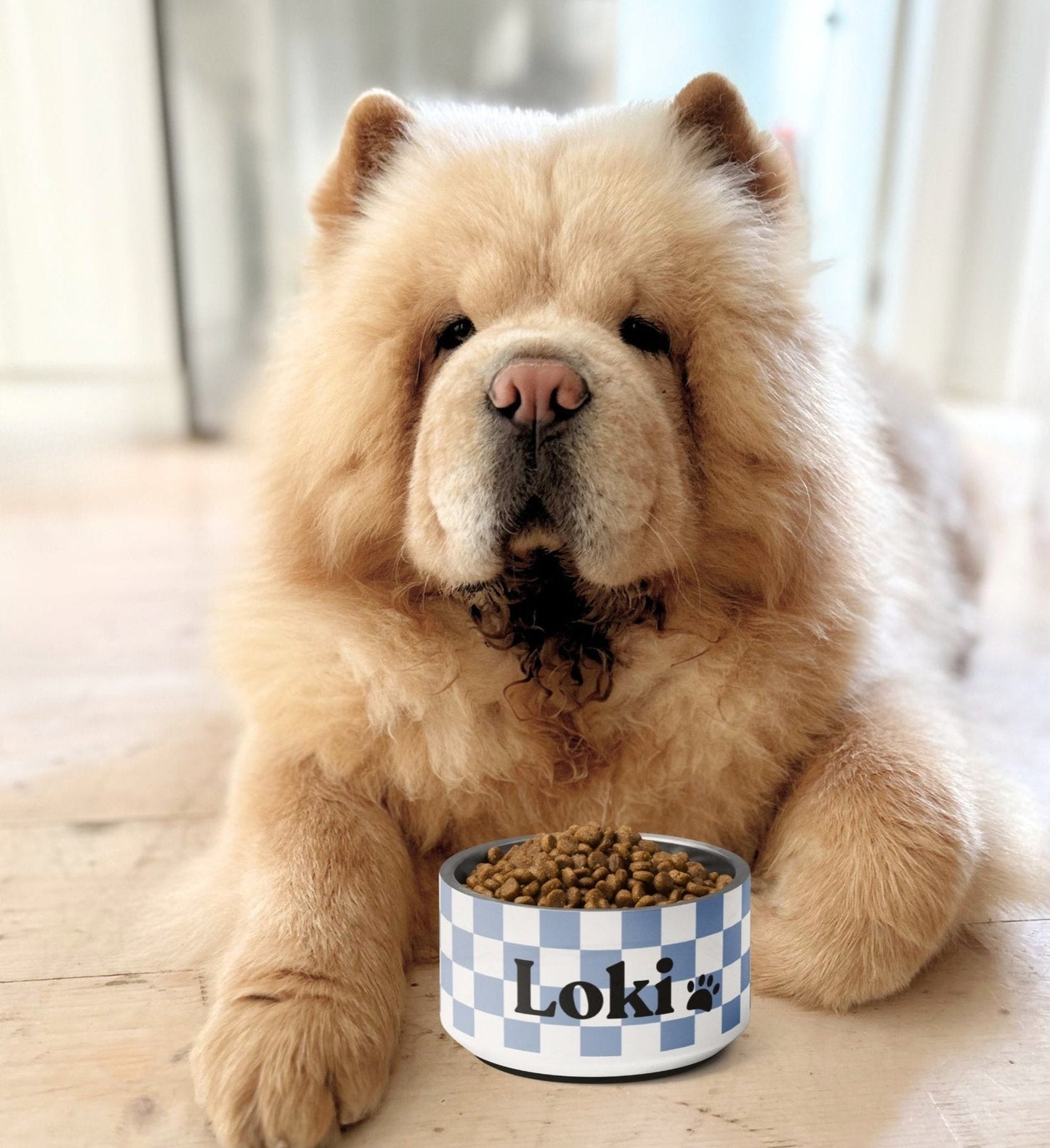 Personalised Pet Dog Bowl and Cat Feeder - Checkered Blue - TLC Paws