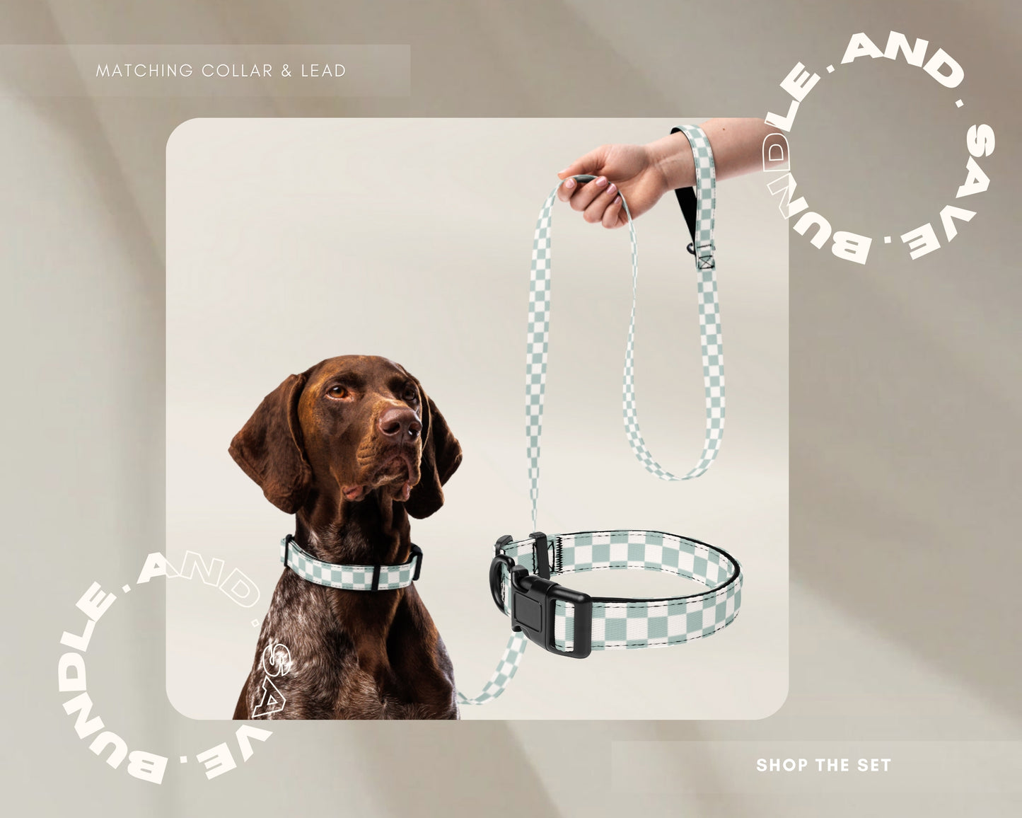 Dog Collar and Leash Set - Checkered Sage - TLC Paws