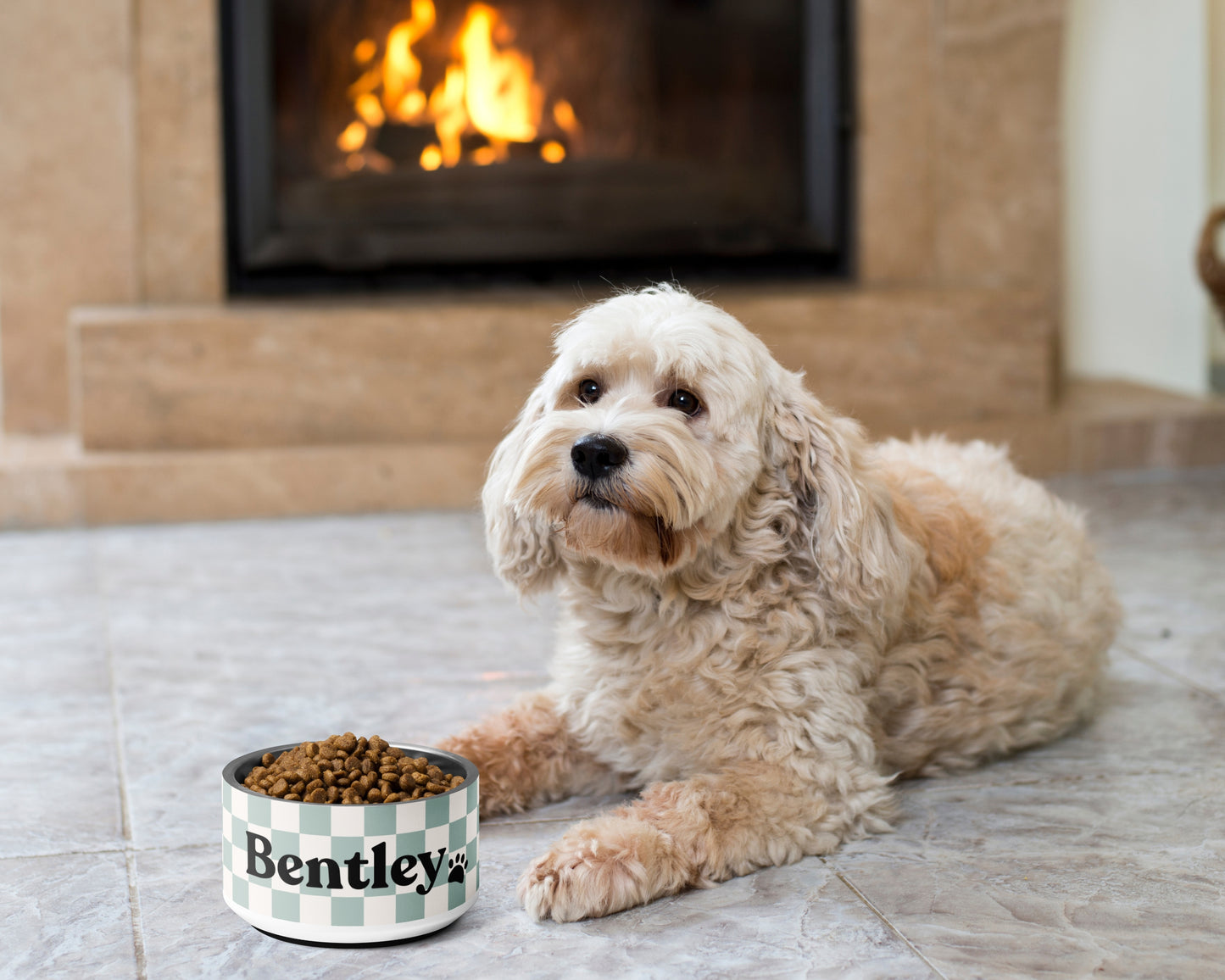 Personalised Pet Dog Bowl and Cat Feeder - Checkered Sage - TLC Paws