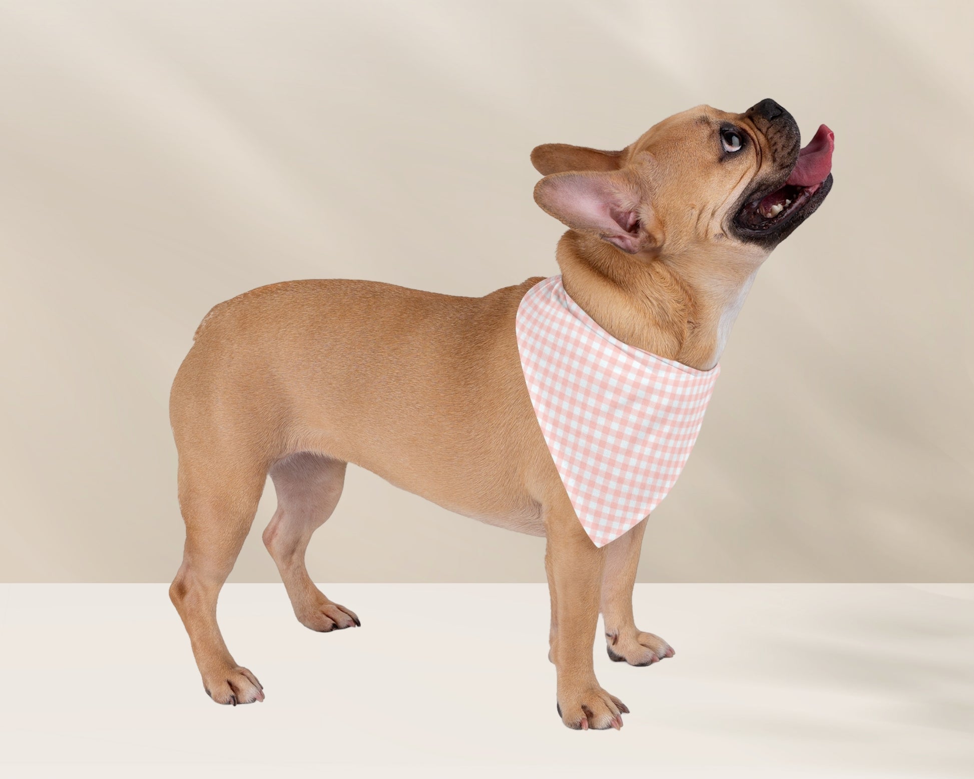 Custom Pet Bandana - Gingham Pink - TLC Paws