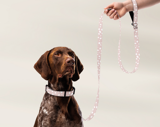 Dog Leash - Spotted Dusty Pink - TLC Paws