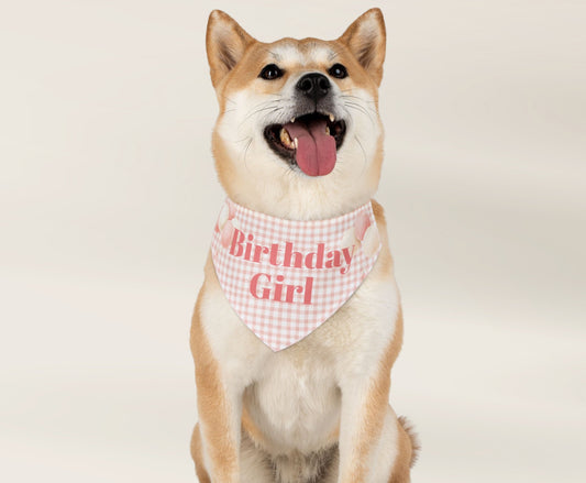 Birthday Pet Bandana Over The Collar - TLC Paws