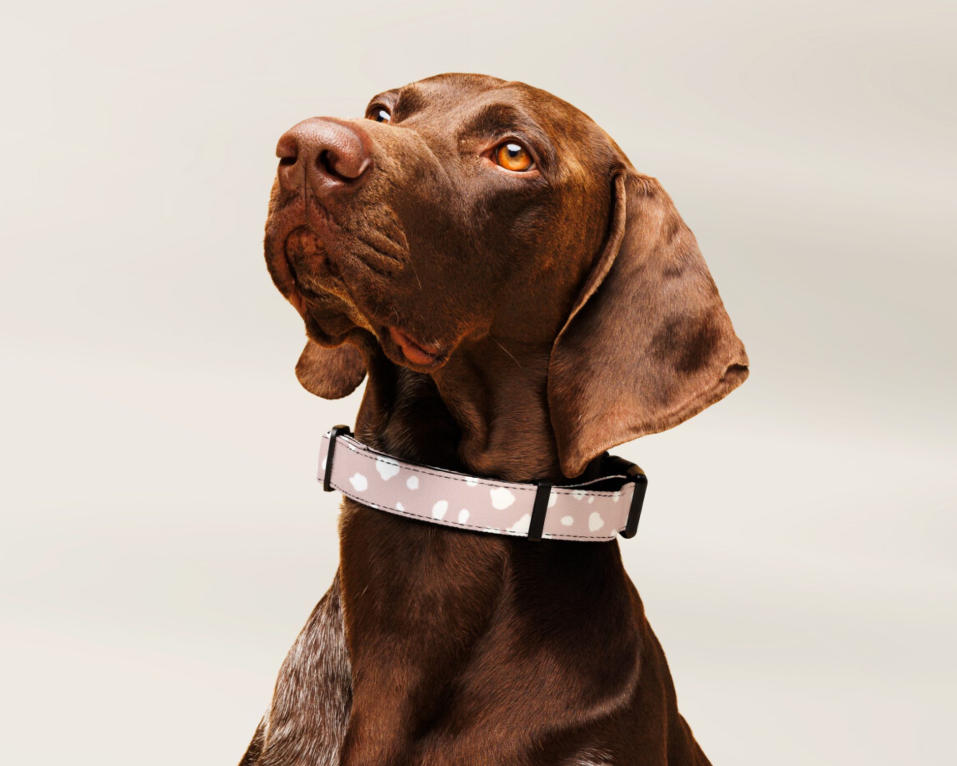 Dog Leash - Spotted Dusty Pink - TLC Paws