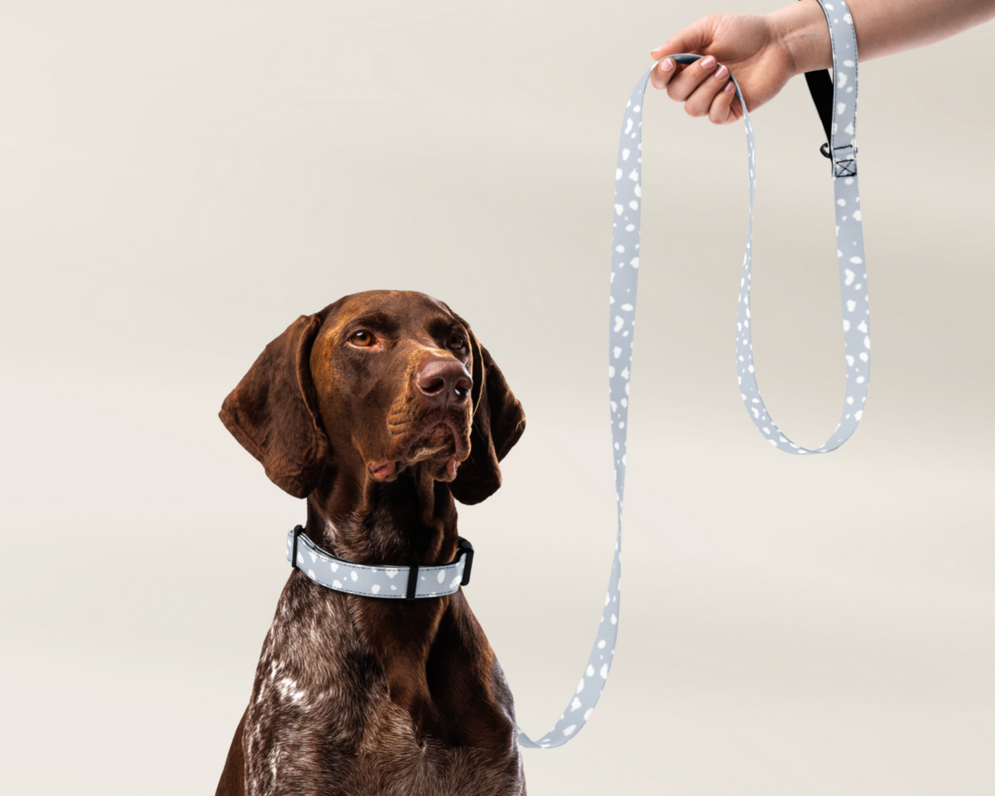 Dog Leash - Spotted Powder Blue - TLC Paws