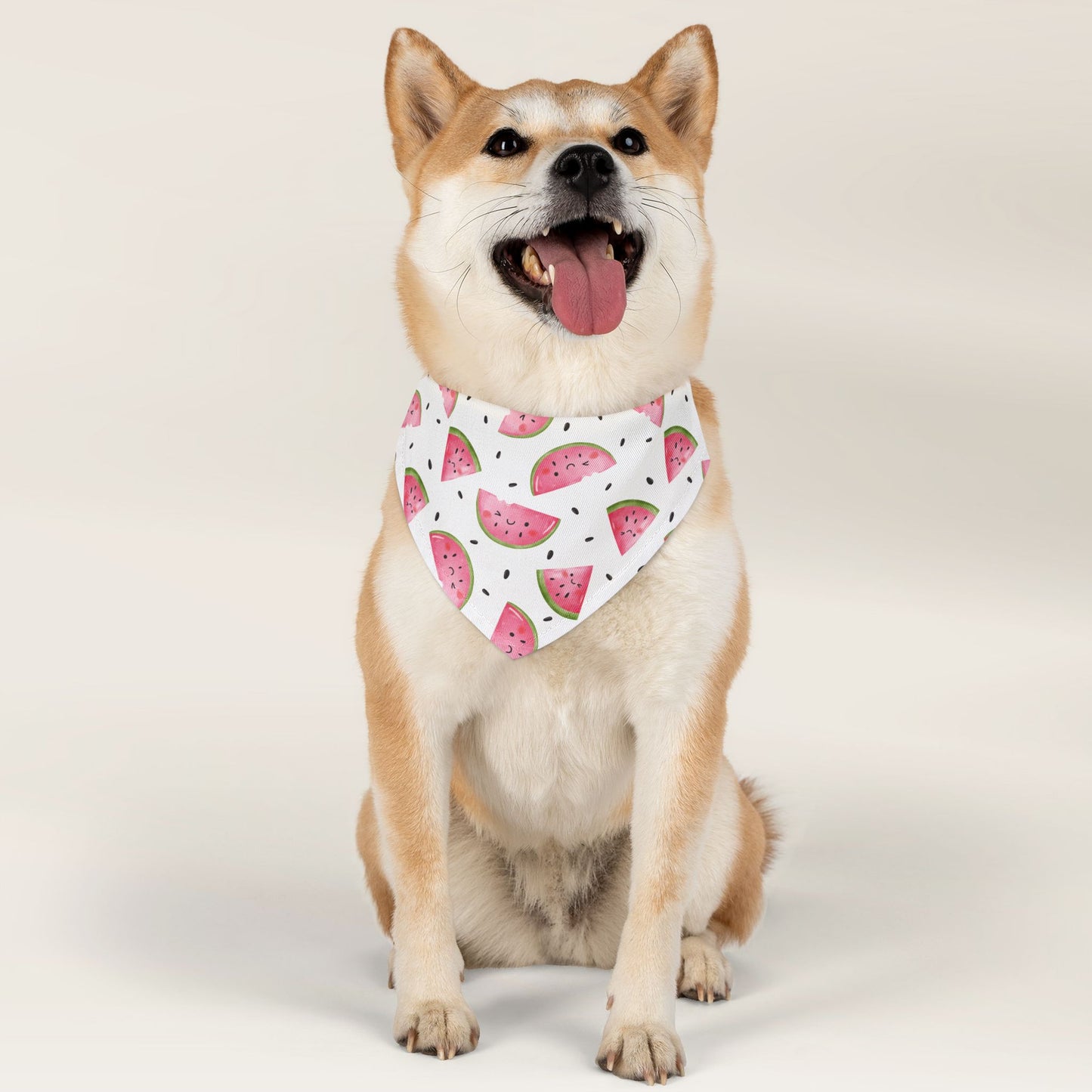 Pet Bandana Over The Collar - Watermelon - TLC Paws