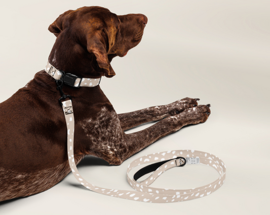 Dog Leash - Spotted Sand - TLC Paws