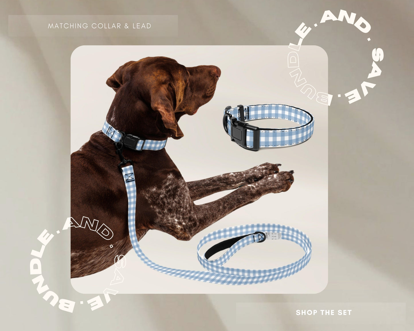 Custom Pet Dog Leash - Gingham Blue - TLC Paws