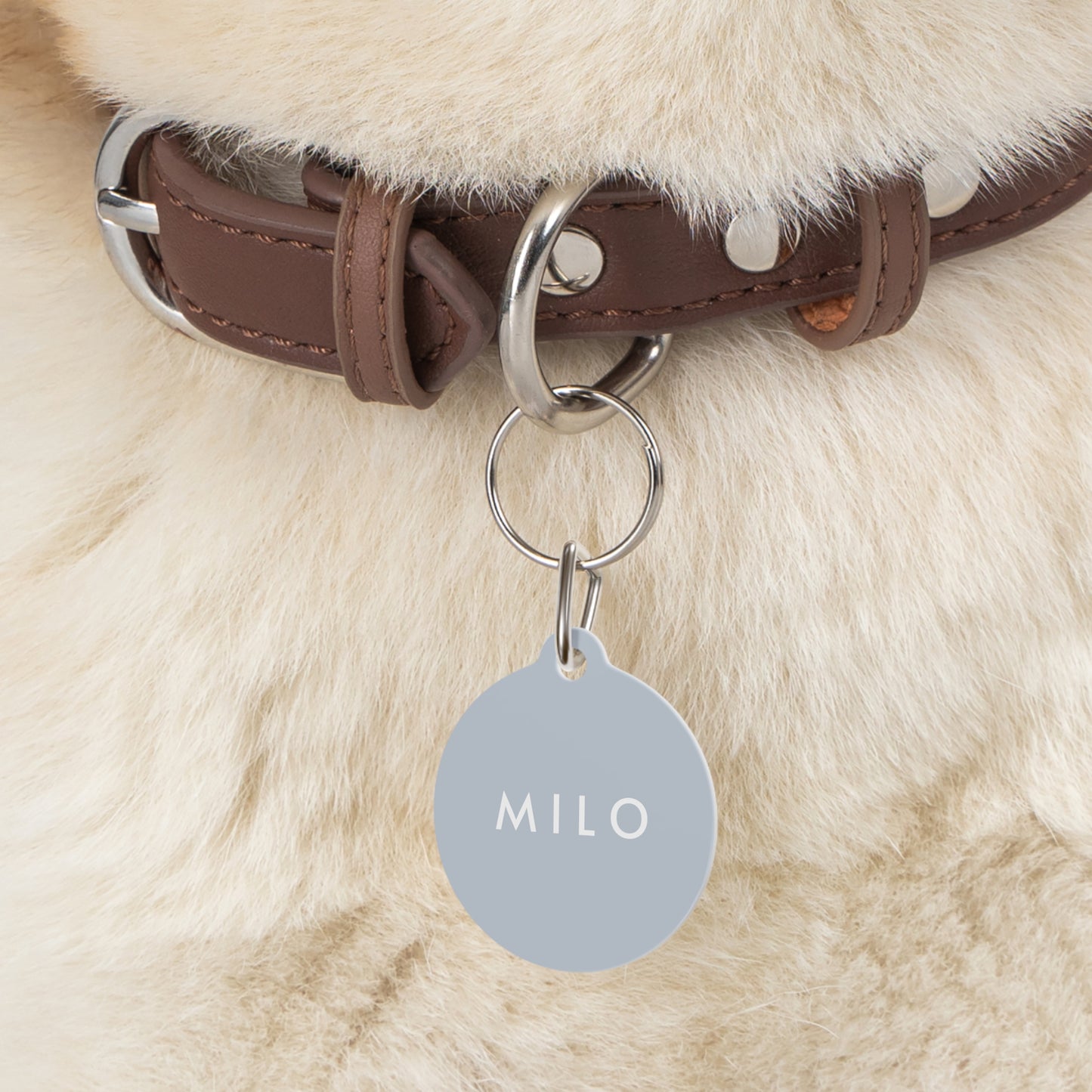 Personalized Pet Dog or Cat ID Tag - Pastel Blue - TLC Paws