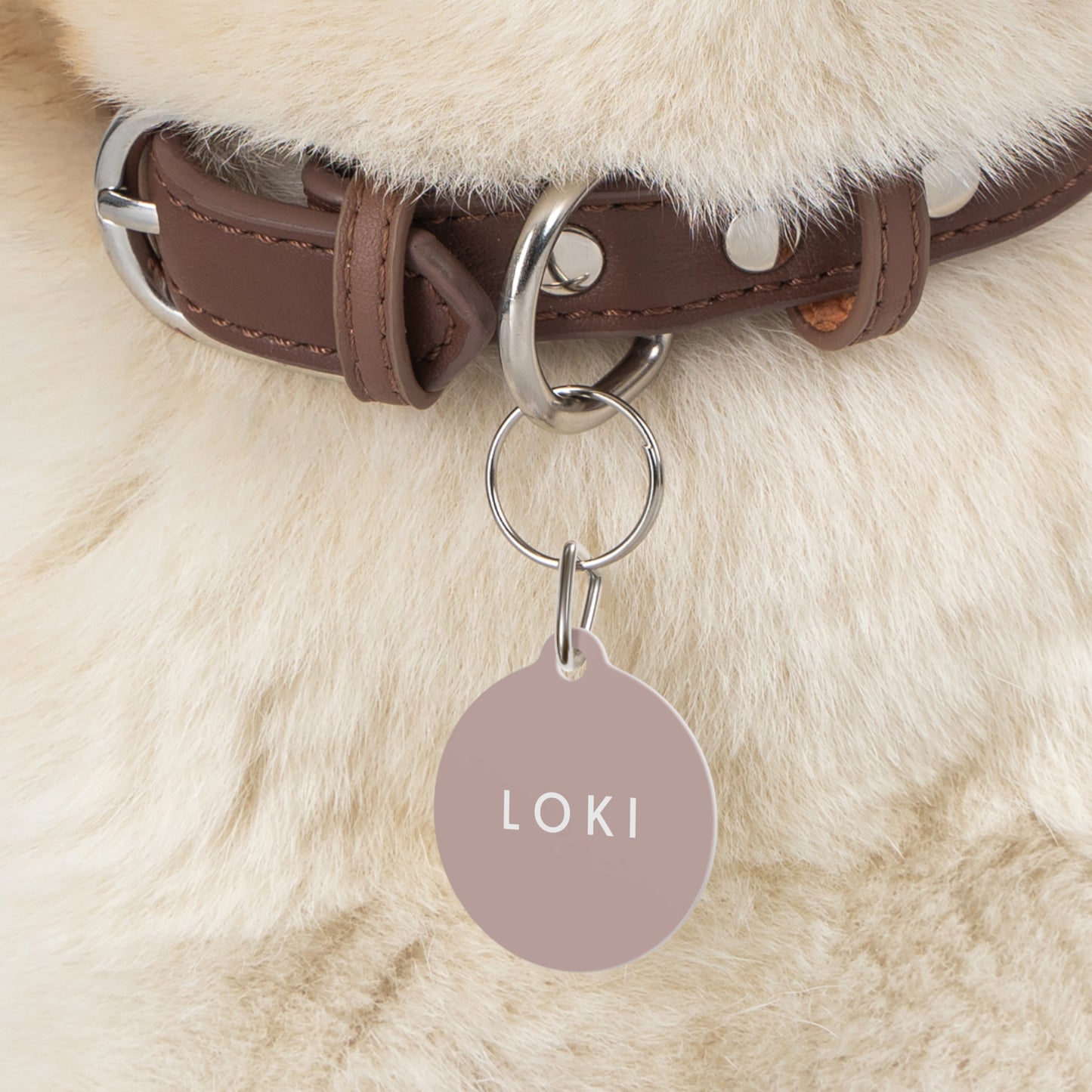 Personalized Pet Dog or Cat ID Tag - Mauve - TLC Paws