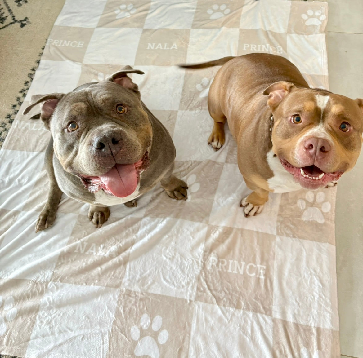 Personalised Blanket & Throw - Sand - TLC Paws