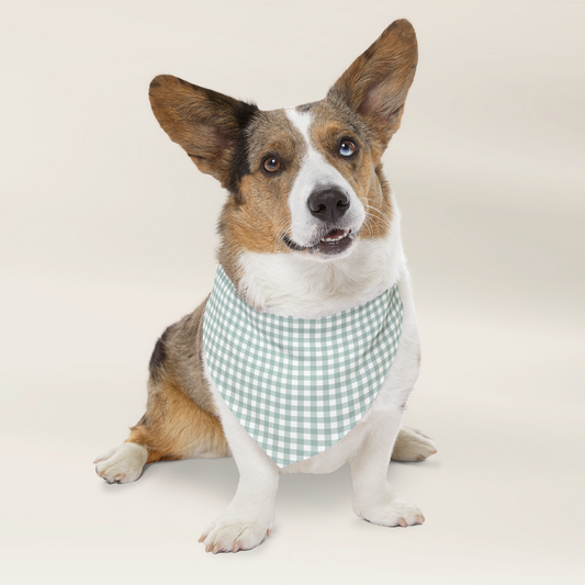 Dog Bandana - Checkered Sage - TLC Paws