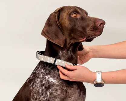 Dog Collar - Spotted Sand - TLC Paws