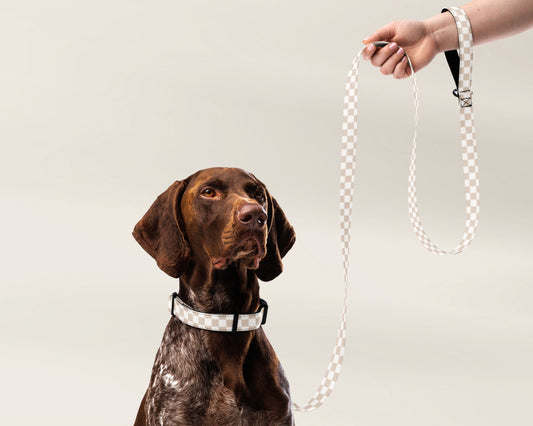 Dog Collar and Leash Set - Checkered Sand - TLC Paws