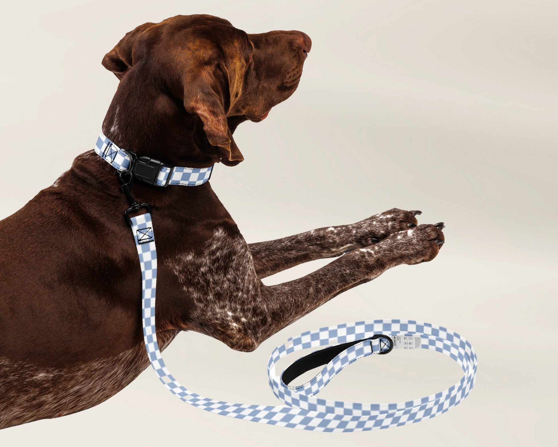 Dog Collar and Leash Set - Checkered Blue - TLC Paws