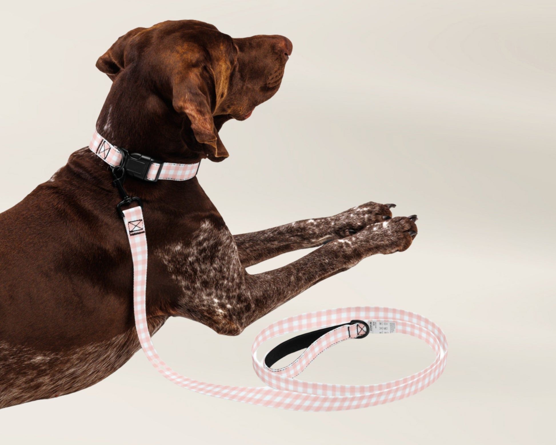 Dog Collar and Leash Set Gingham Pink TLC Paws