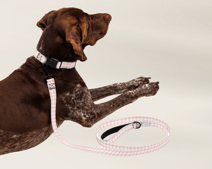 Dog Collar and Leash Set Gingham Pink TLC Paws