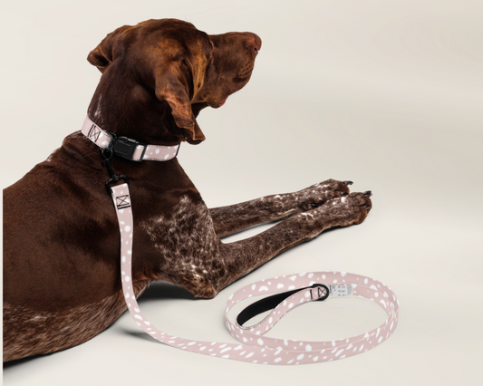 Dog Collar and Leash Set - Spotted Dusty Pink - TLC Paws