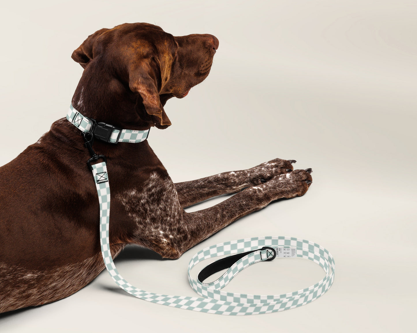 Dog Collar and Leash Set Checkered Sage Checkered Sage - TLC Paws