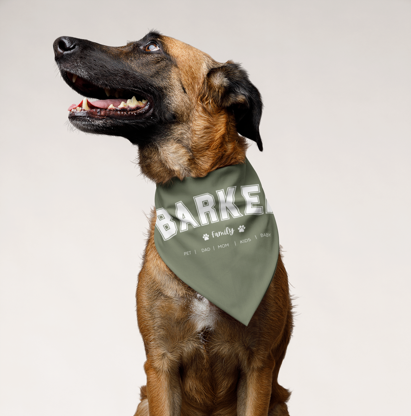 Personalised Family Surname Pet Bandana Over The Collar - TLC Paws