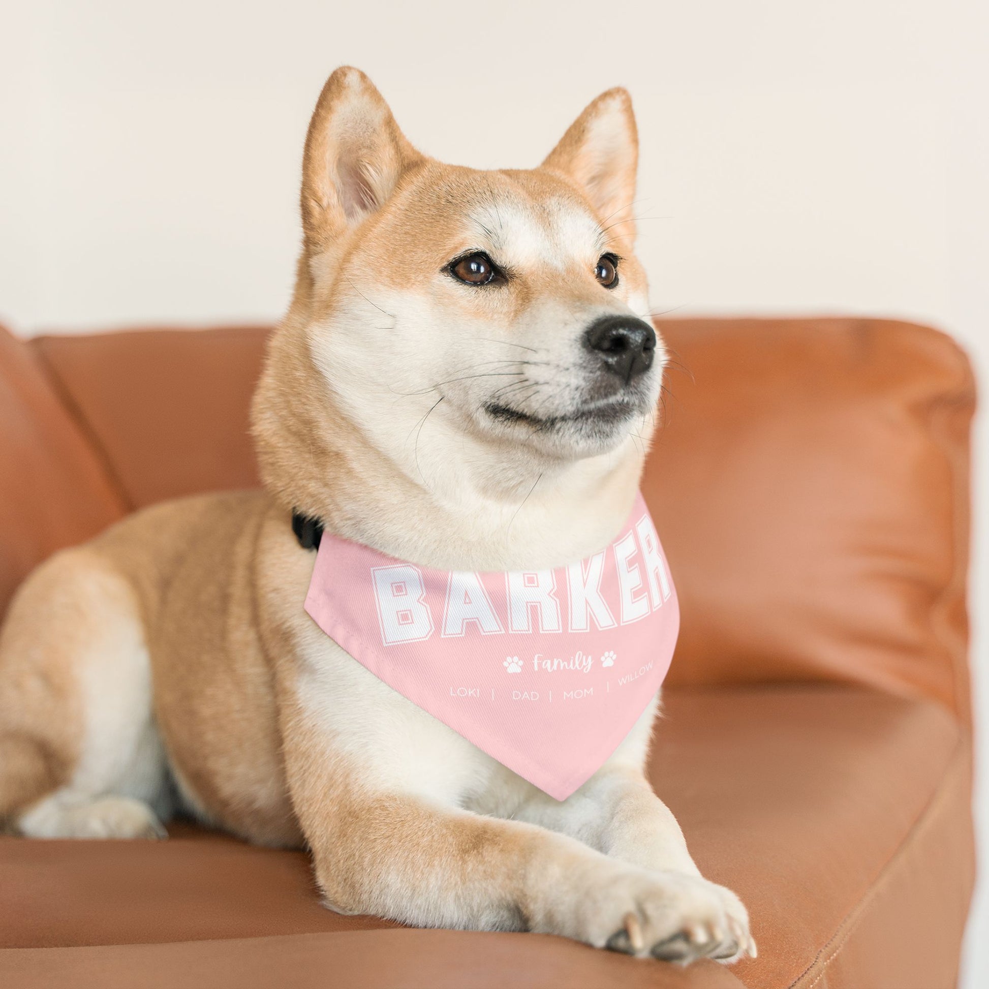 Personalised Family Surname Pet Bandana Over The Collar - TLC Paws