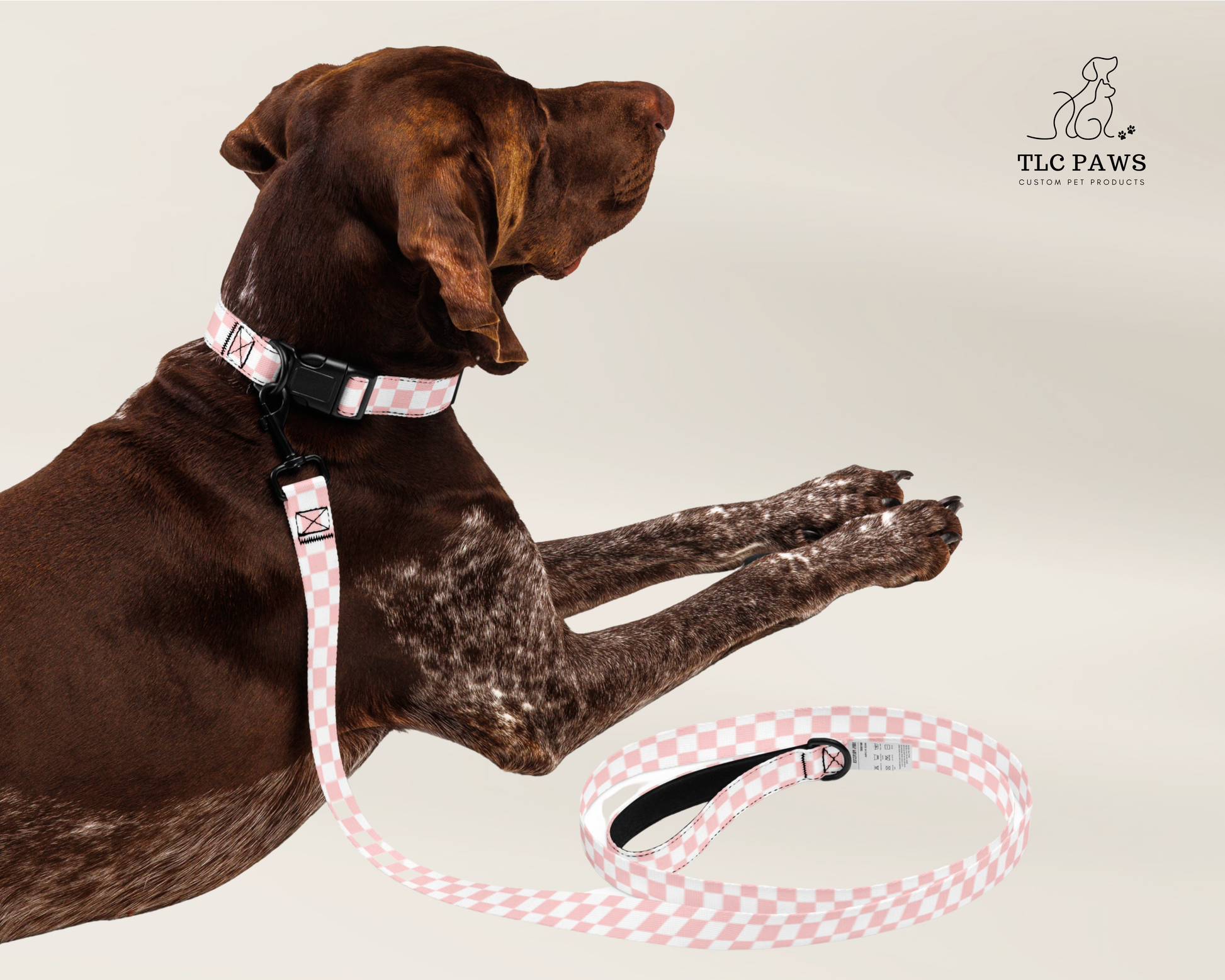 Pet Collar and Leash Set - Checkered Pink - TLC Paws