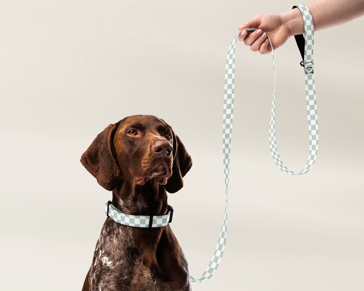 Dog Collar and Leash Set - Checkered Sage - TLC Paws