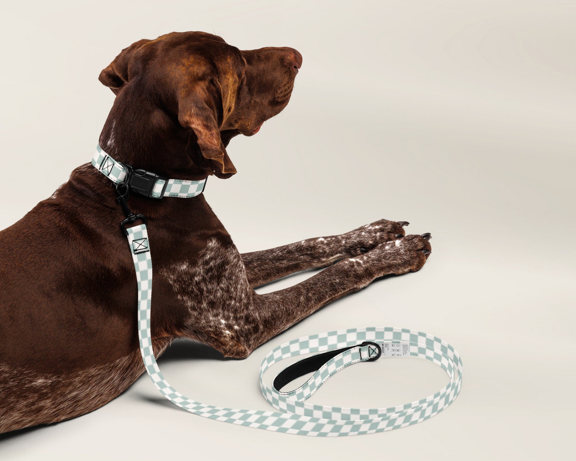 Dog Collar and Leash Set - Checkered Sage - TLC Paws